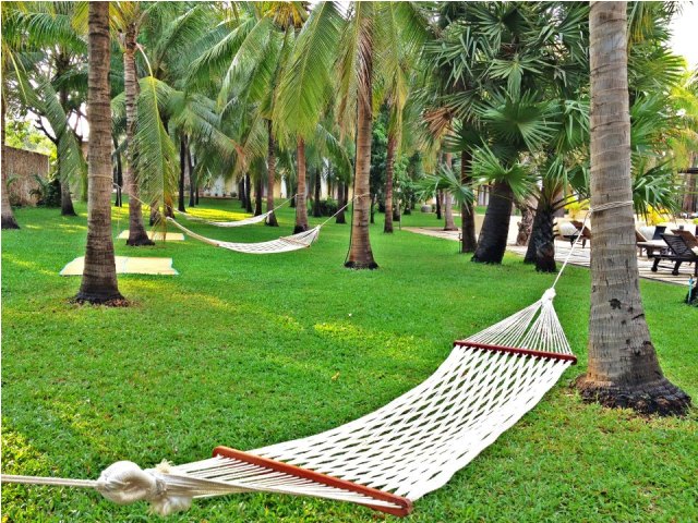 Lotus Blanc Resort - hamock