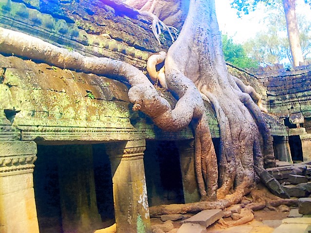 Ta Prohm
