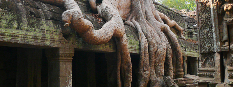 Ta Prohm Cambodia